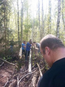 Maibaum 30 04 17 (11)