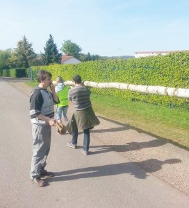 Maibaum 30 04 17 (18)