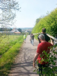 Maibaum 30 04 17 (19)