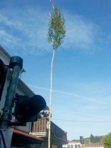 Maibaum 30 04 17 (32)